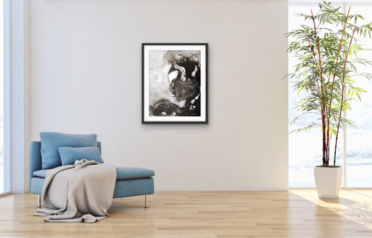 The black swan - 20" x 26" - Original